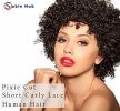 Sable Hub Short Curly HD Lace Front Wigs T Part | Human Hair 13X4X1 Pixie Cut Short Curly Human Hair Wigs Pixie Cut HD Lace Front Wigs Human Hair Pluc